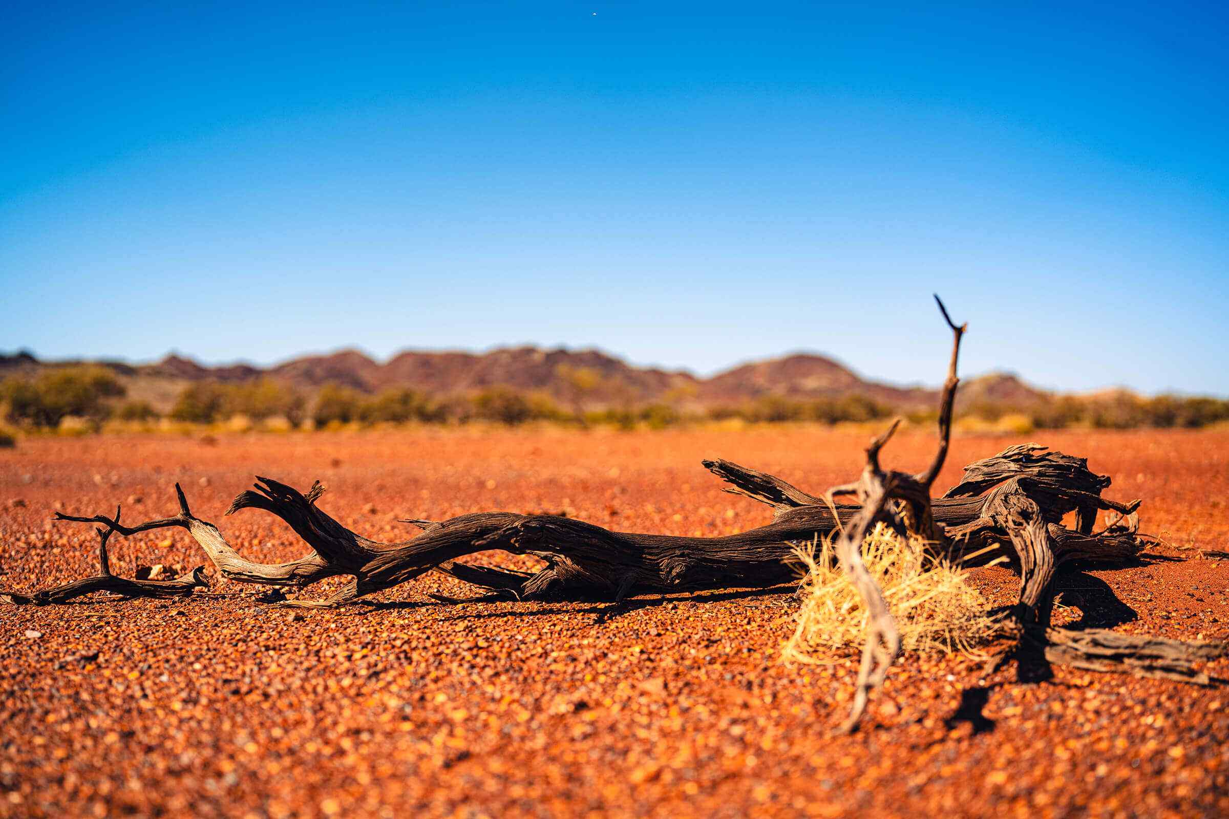 Welcome to the PKKP Aboriginal Corporation