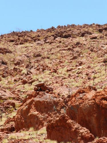 Eliwana Elders Consultation Trip (24 November 2018)