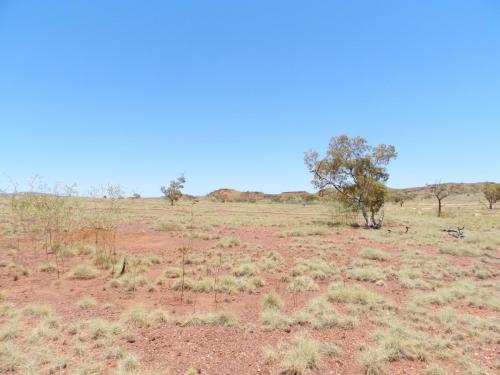 Eliwana Elders Consultation Trip (24 November 2018)