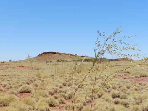 Eliwana Elders Consultation Trip (24 November 2018)