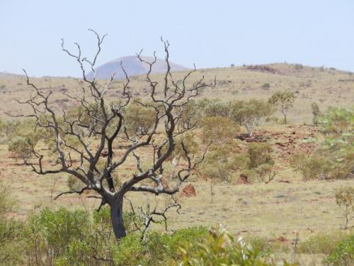 Eliwana Elders Consultation Trip (24 November 2018)