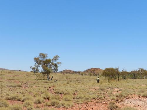 Eliwana Elders Consultation Trip (24 November 2018)