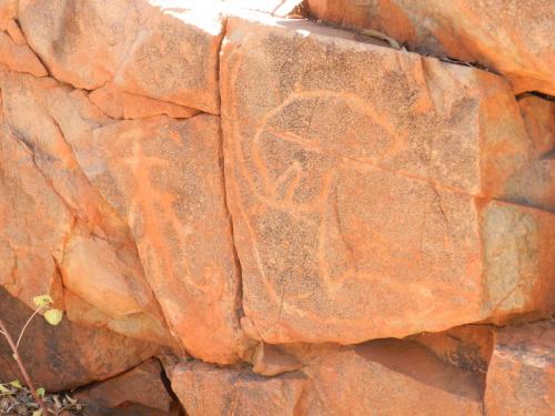 Eliwana Elders Consultation Trip (24 November 2018)