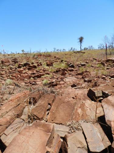 Eliwana Elders Consultation Trip (24 November 2018)