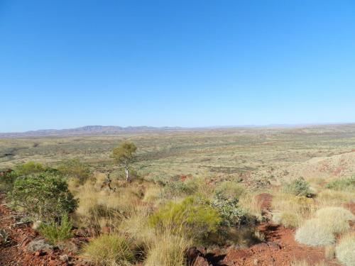 Eliwana Elders Consultation Trip (24 November 2018)