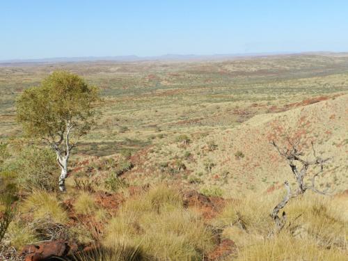 Eliwana Elders Consultation Trip (24 November 2018)