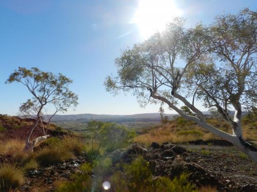 Eliwana Elders Consultation Trip (24 November 2018)